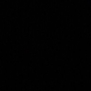 Meet your Posher, Brannon